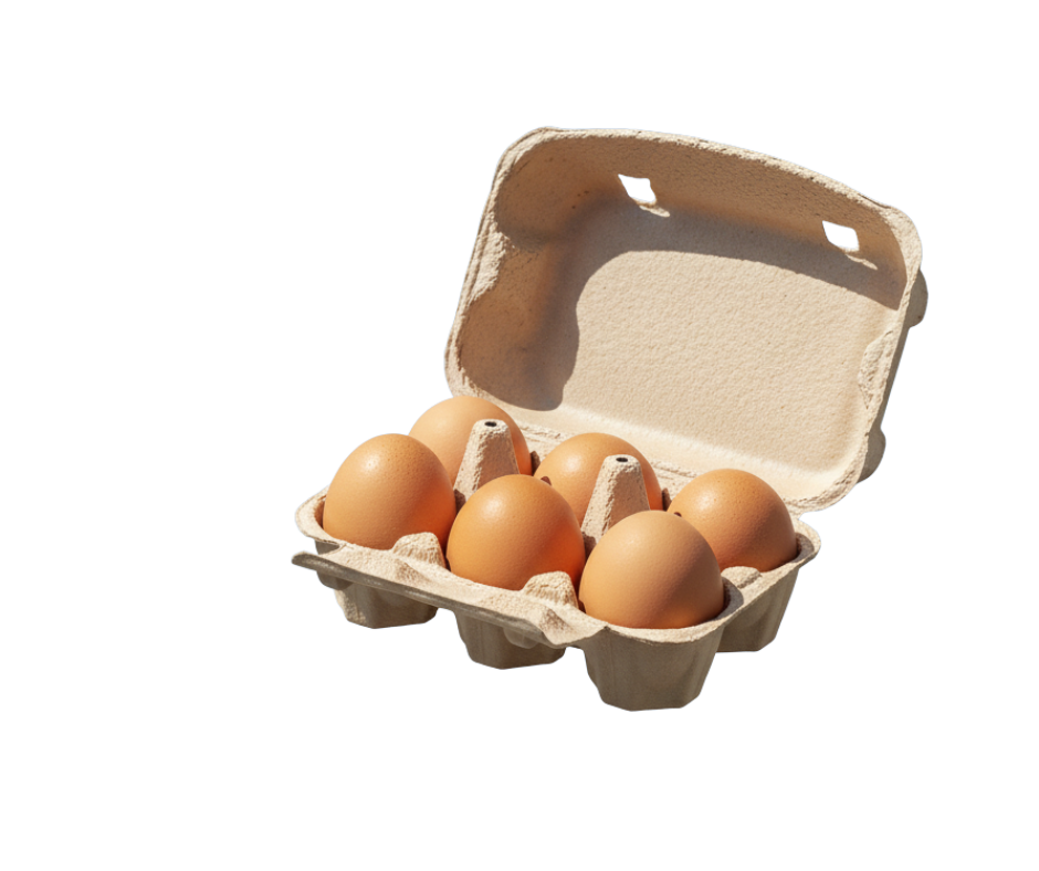 pasture raised eggs