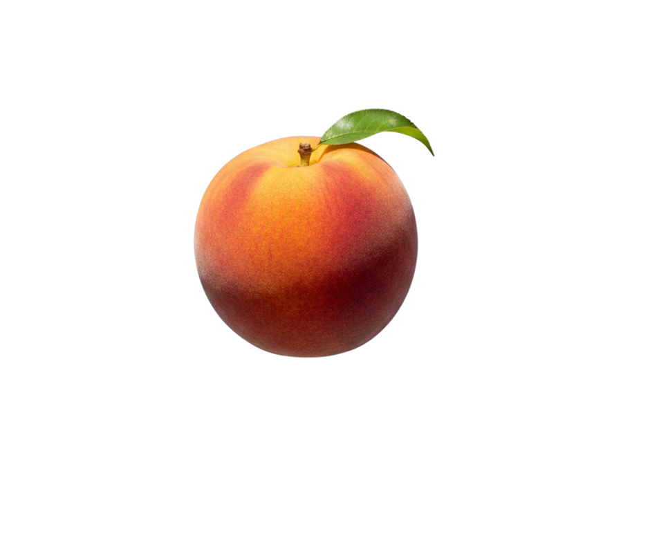 ontario orchard peach